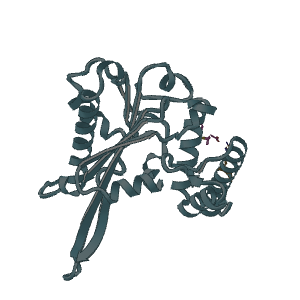 Cartoon of 7FK1 chain A with W3H ligand pose A and the highlighted Arg224 side chain